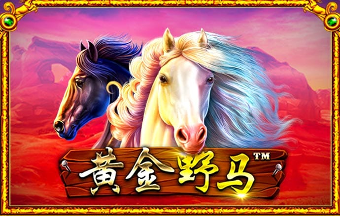 haha体育官网入口